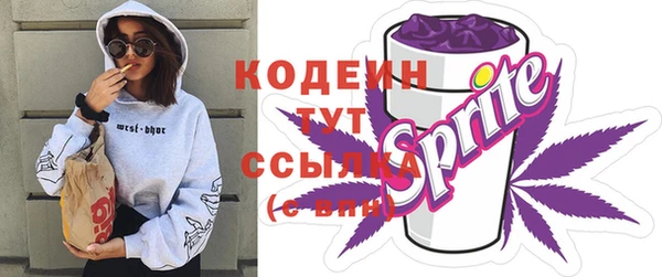 apvp Мегион