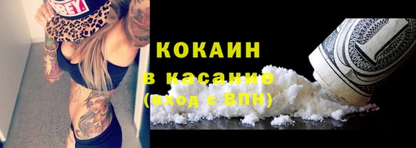 индика Медногорск