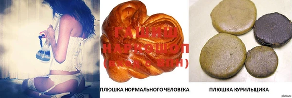 индика Медногорск
