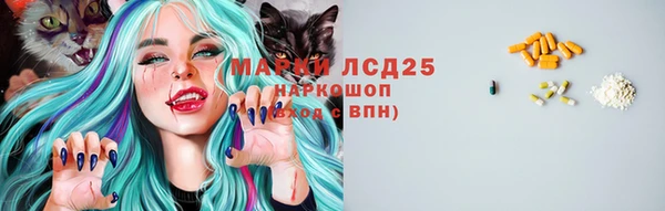 apvp Мегион