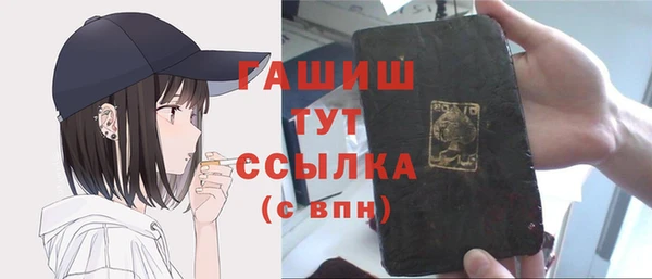 индика Медногорск