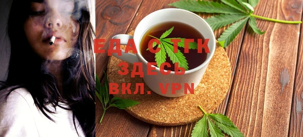 индика Медногорск