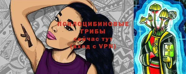 apvp Мегион