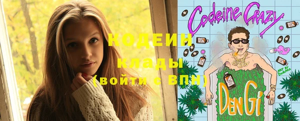 прущие грибы Михайловск