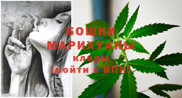 прущие грибы Михайловск