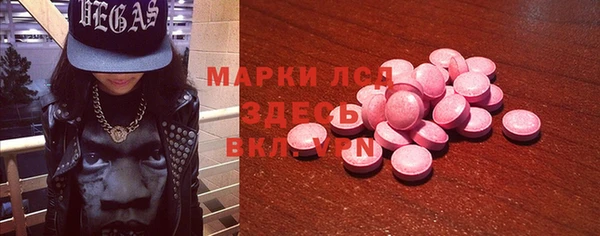 индика Медногорск