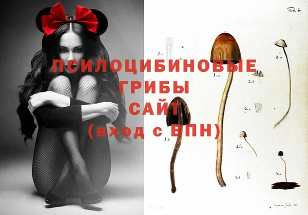 кокаин VHQ Медвежьегорск