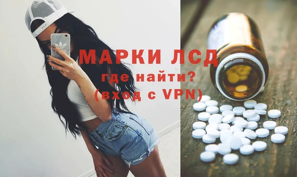 прущие грибы Михайловск