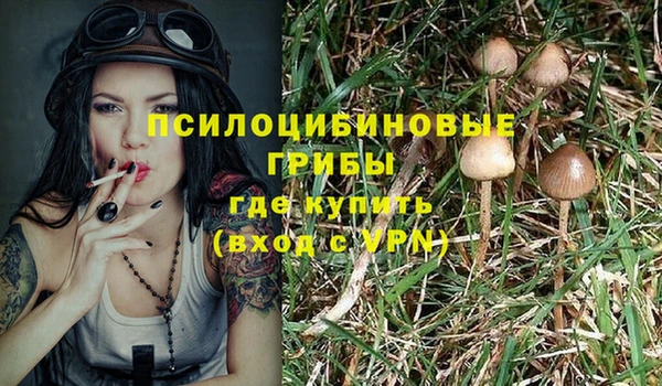 ECSTASY Майский