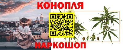 apvp Беслан