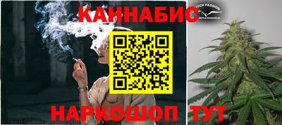 стаф Берёзовский