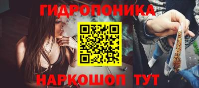 стаф Берёзовский