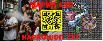 стаф Берёзовский