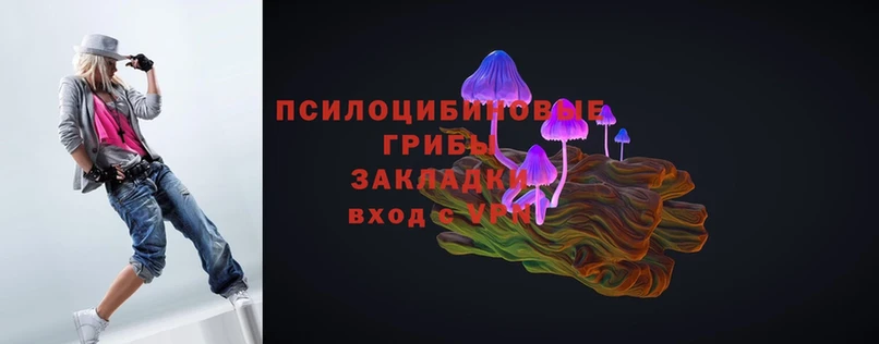 Псилоцибиновые грибы MAGIC MUSHROOMS  Карпинск 