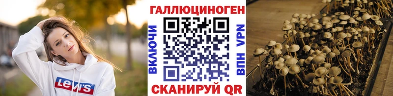 Псилоцибиновые грибы Psilocybe Карпинск