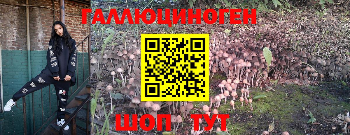 Карпинск  Псилоцибиновые грибы мицелий  Вход с VPN 
