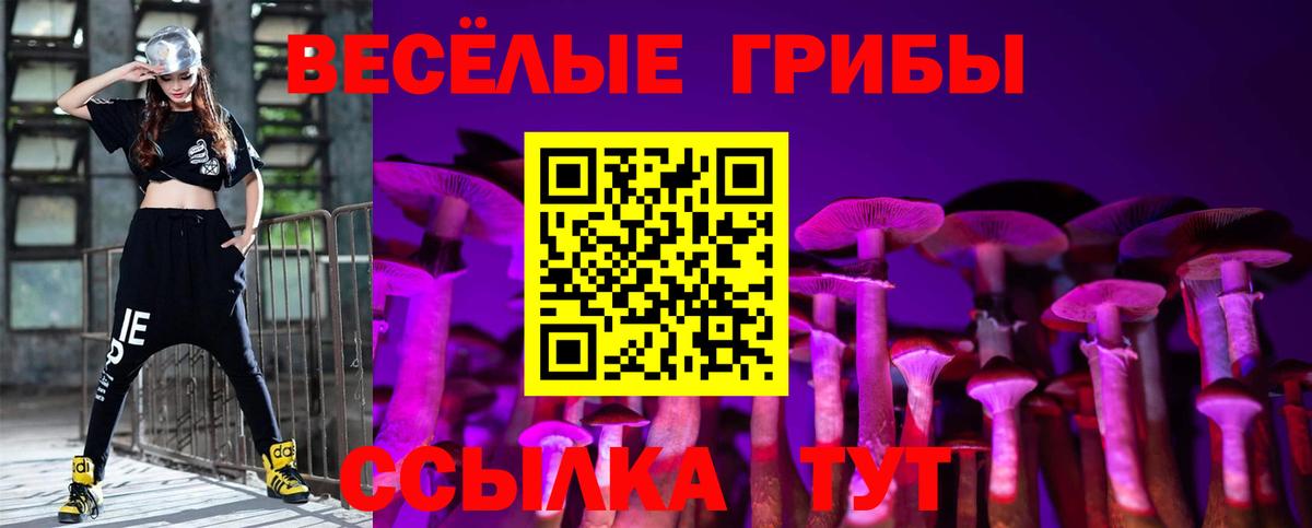 Галлюциногенные грибы Cubensis  Карпинск  Псилоцибиновые грибы мухоморы 